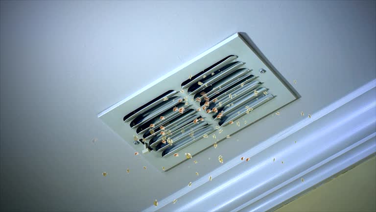 Best Home Air Vent Cleaning  in Jennings, LA