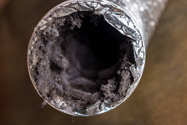 Best Dryer Vent Cleaning Services  in Jennings, LA